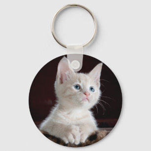 Curious kitty key ring