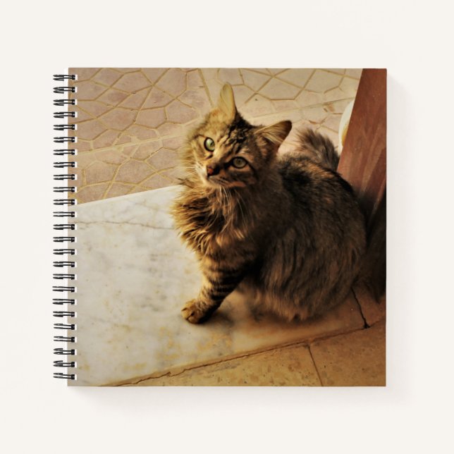 Curious Kitty Notebook (Front)