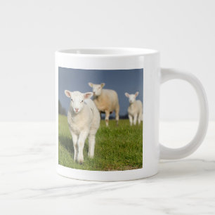 Curious Lamb Large Coffee Mug
