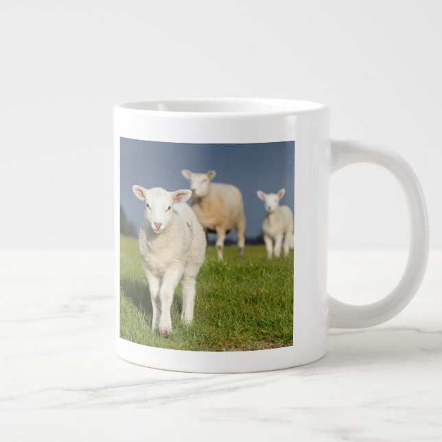 Curious Lamb Large Coffee Mug (Right)