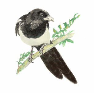 Curious Magpie, Looking at you, Humour Bird Standing Photo Sculpture