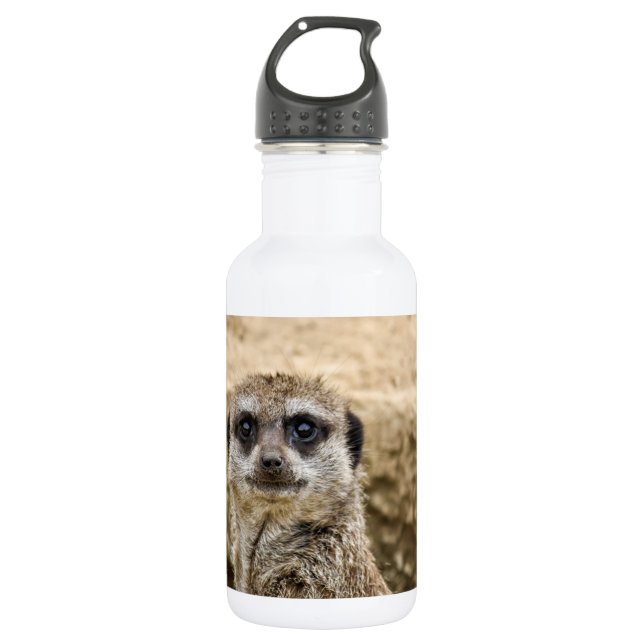 Curious Meerkat 532 Ml Water Bottle (Front)