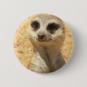 Curious Meerkat Round Pin