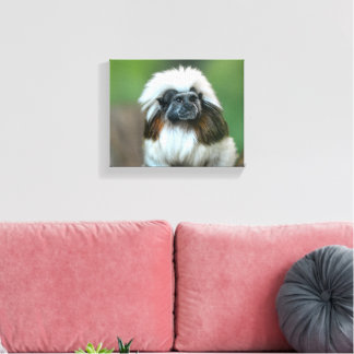 Curious Monkey Canvas Print