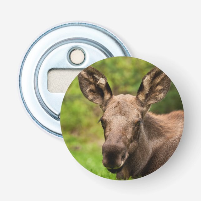 Curious Moose Bottle Opener (Front)
