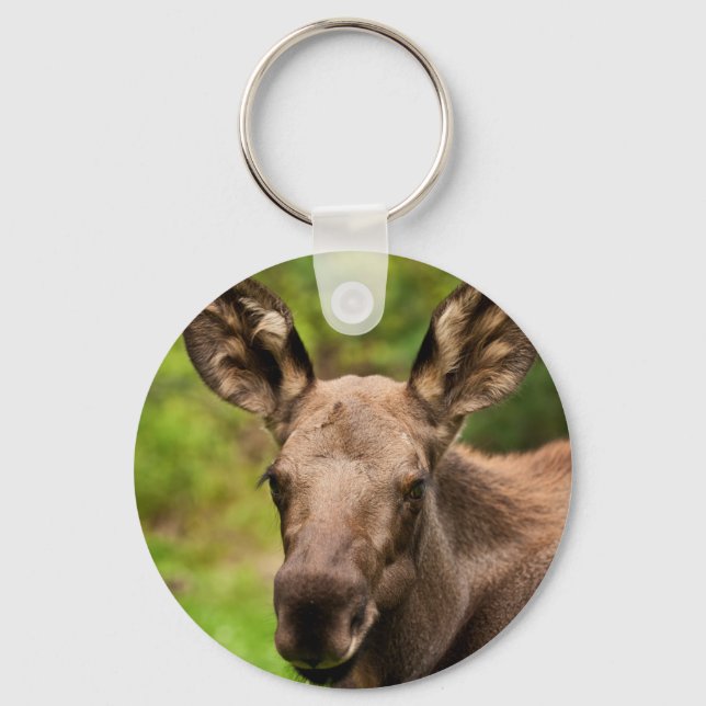 Curious Moose Key Ring (Front)