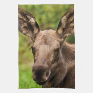Curious Moose Tea Towel
