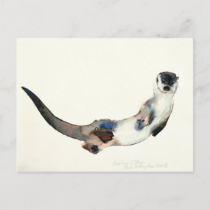 Curious Otter 2003 Postcard
