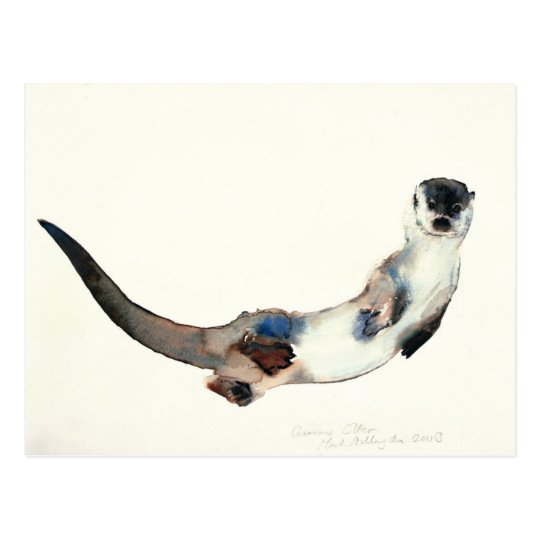 Curious Otter 2003 Postcard