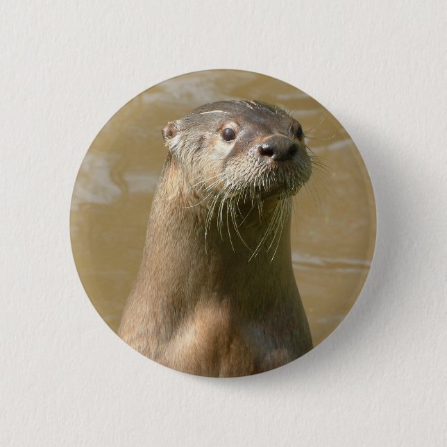 Curious Otter Pin (Front)