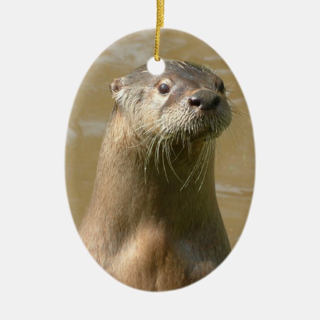 Curious Otters Ornament (Front)