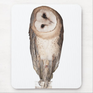 Curious owls card. mouse mat
