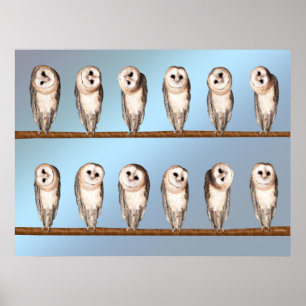 Curious owls poster