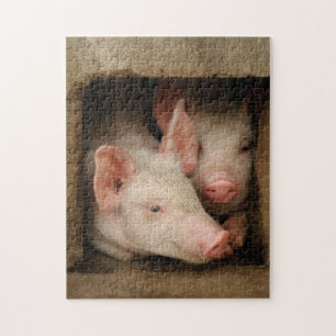 Curious Piglets Jigsaw Puzzle