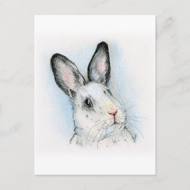 Curious Postcard (Front)