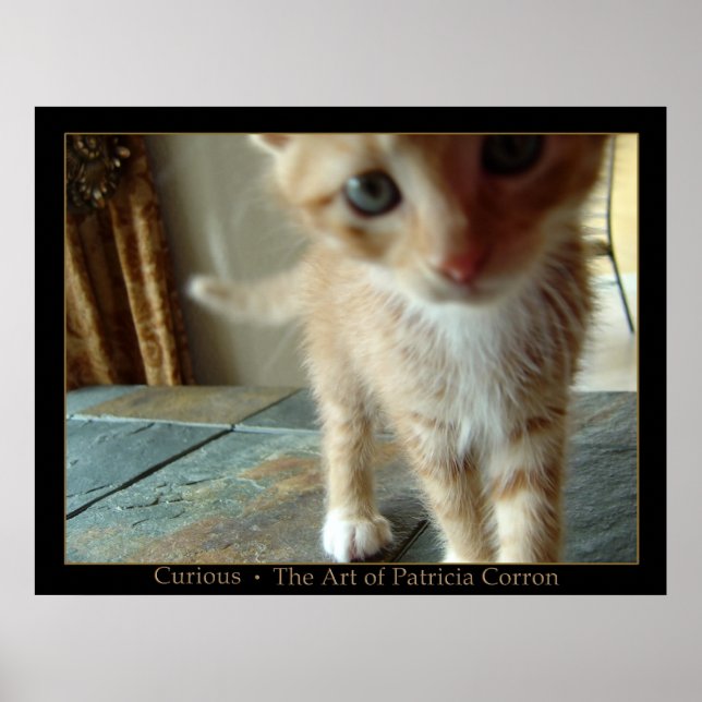 Curious Poster (Front)