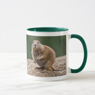 Curious Prairie Dog Mug