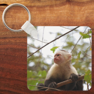 Curious Primate, White-Faced Capuchin Key Ring