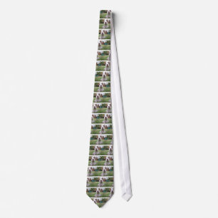Curious Puppy Tie
