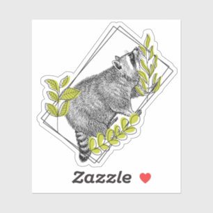 Curious Racoon and Lime Green Foliage - Engraving