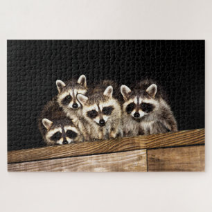 Curious Racoon Family, Jigsaw Puzzle