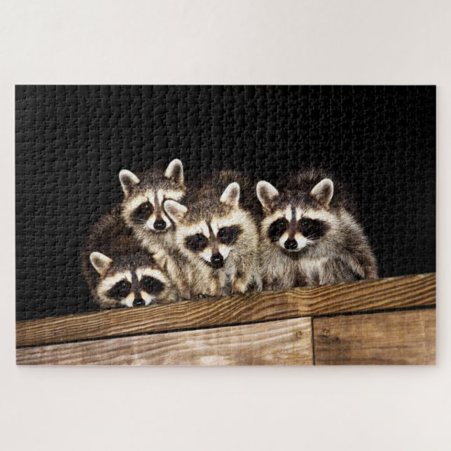 Curious Racoon Family, Jigsaw Puzzle (Horizontal)
