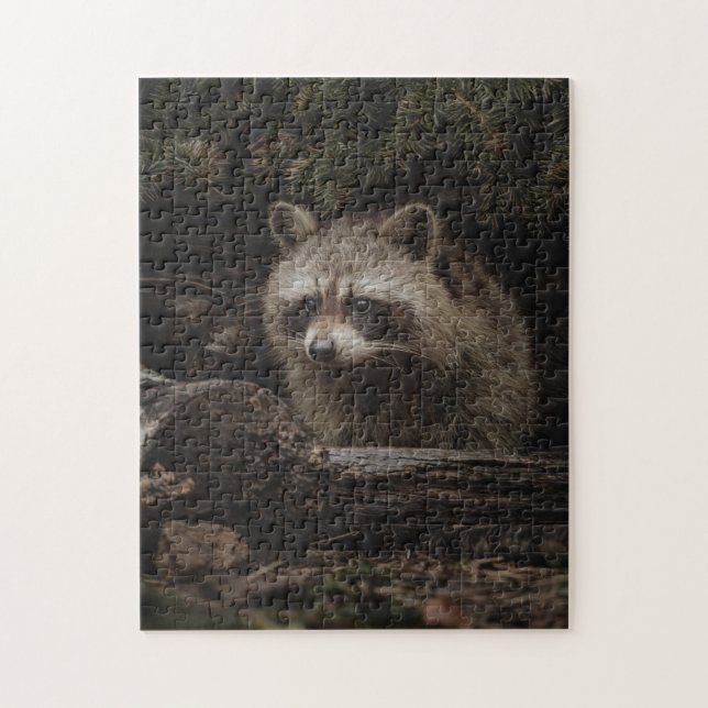 Curious Racoon In The Forest Animal Jigsaw Puzzle (Vertical)