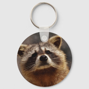 Curious Racoon Key Ring
