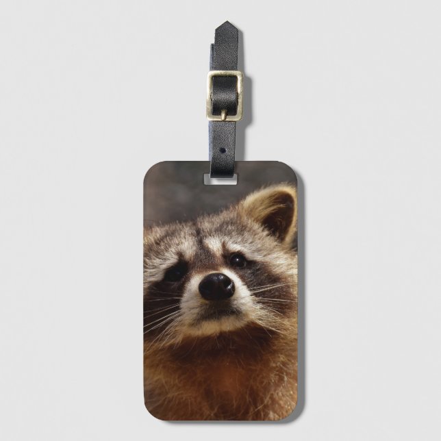 Curious Racoon Luggage Tag (Front Vertical)