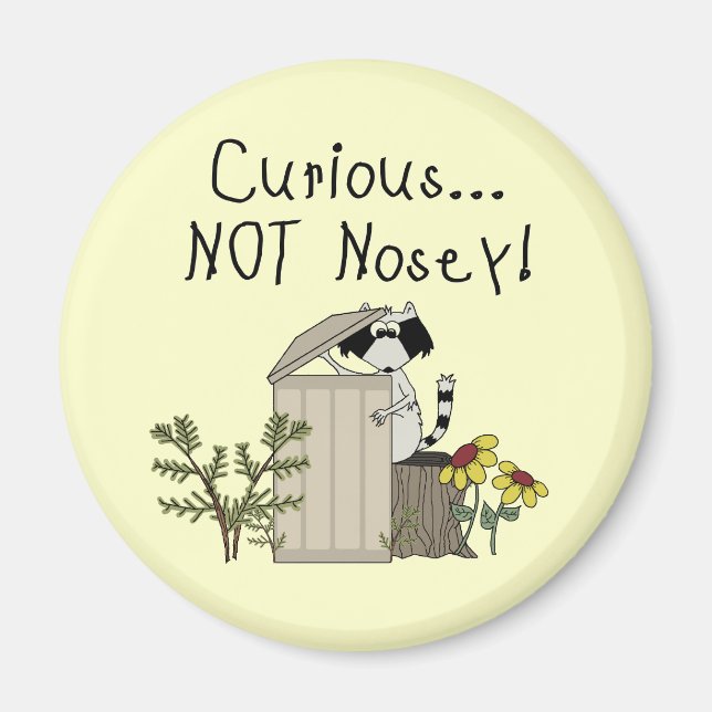 Curious Racoon Magnet (Front)