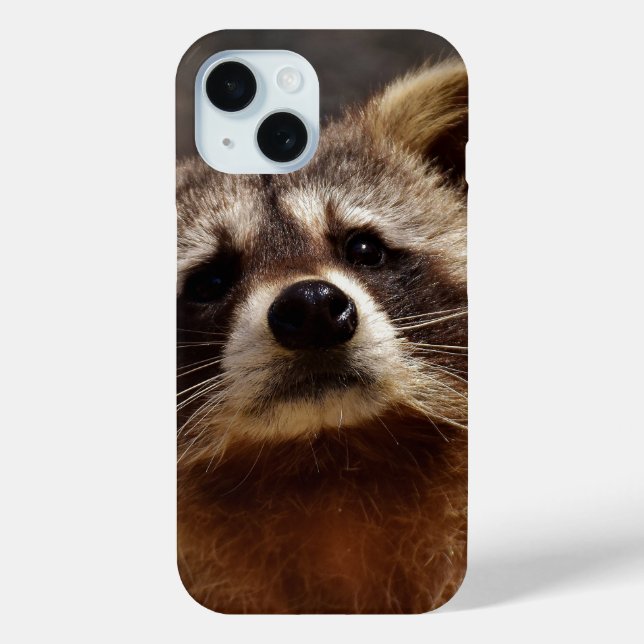 Curious Racoon Photo Case-Mate iPhone Case (Back)