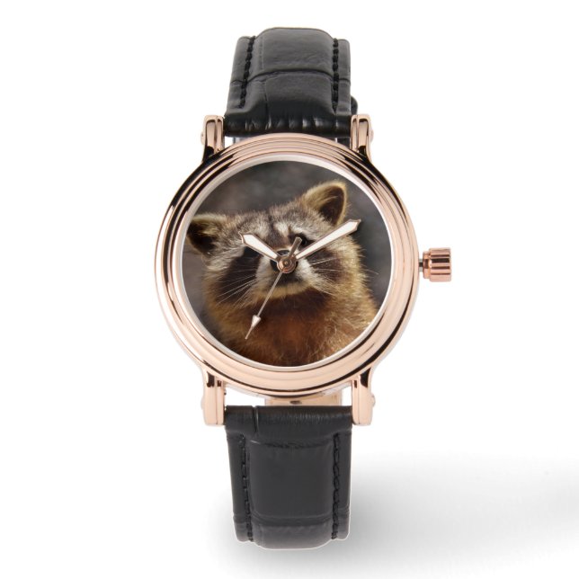 Curious Racoon Watch (Front)