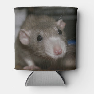 Curious Rat Can Cooler