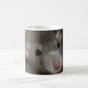 Curious Rat Coffee Mug
