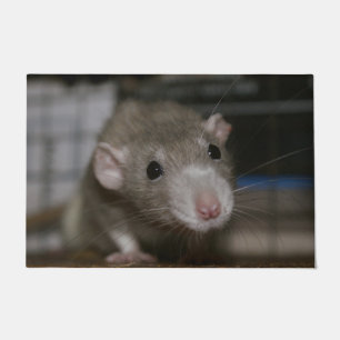 Curious Rat Doormat