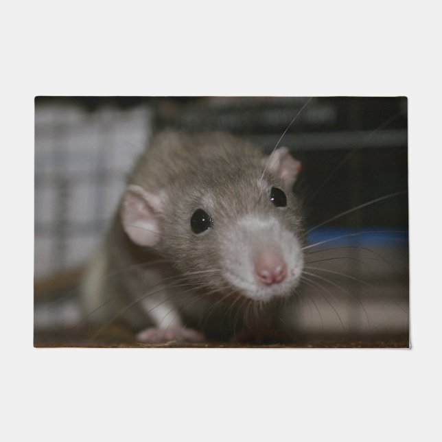 Curious Rat Doormat (Front)