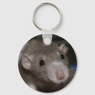 Curious Rat Key Ring