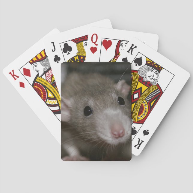 Curious Rat Playing Cards (Back)