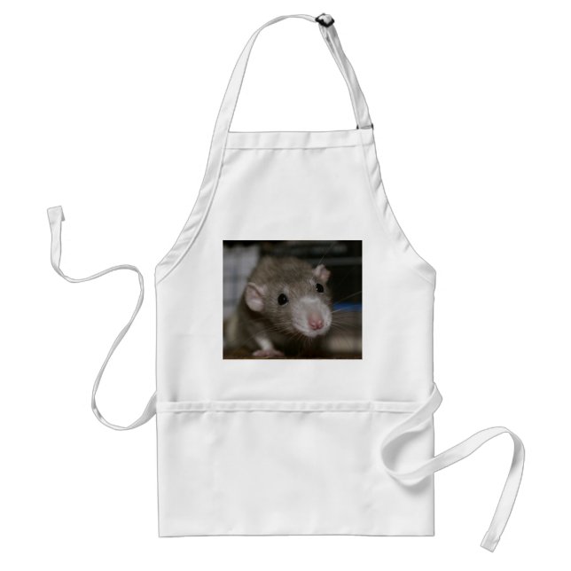 Curious Rat Standard Apron (Front)