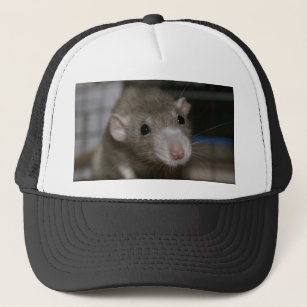 Curious Rat Trucker Hat