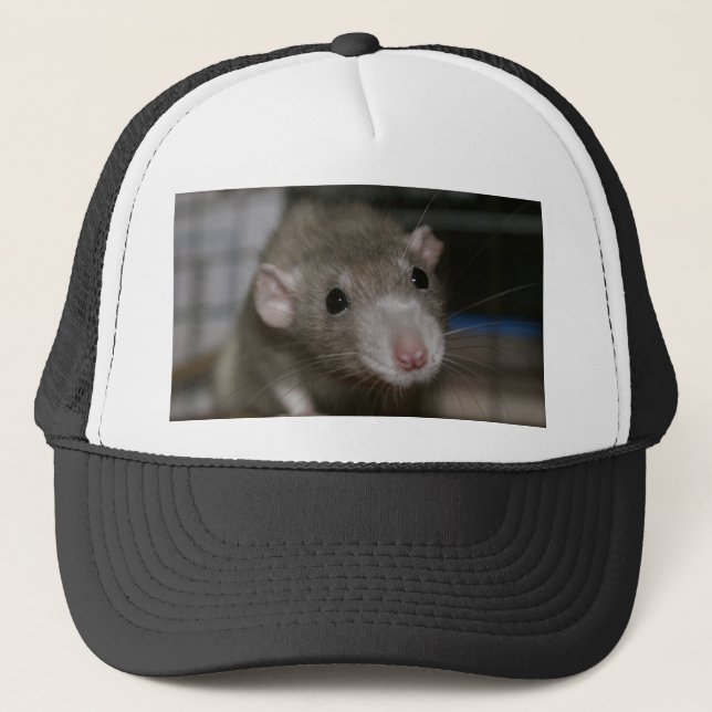 Curious Rat Trucker Hat (Front)