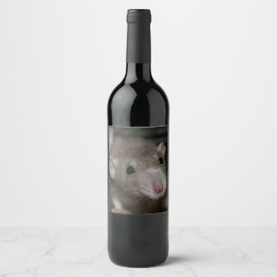 Curious Rat Wine Label