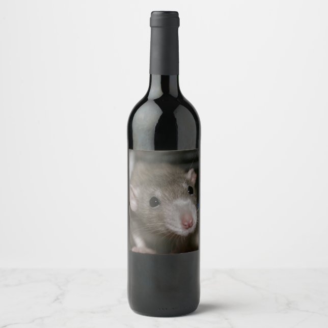 Curious Rat Wine Label (Front)