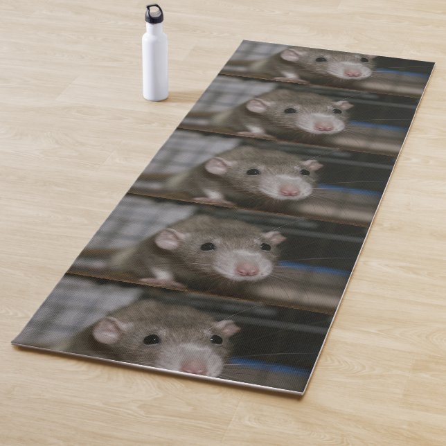 Curious Rat Yoga Mat (In Situ)