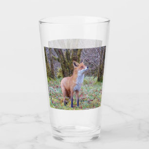 Curious Red Fox Looking Up Woodland Wildlife Art Glass