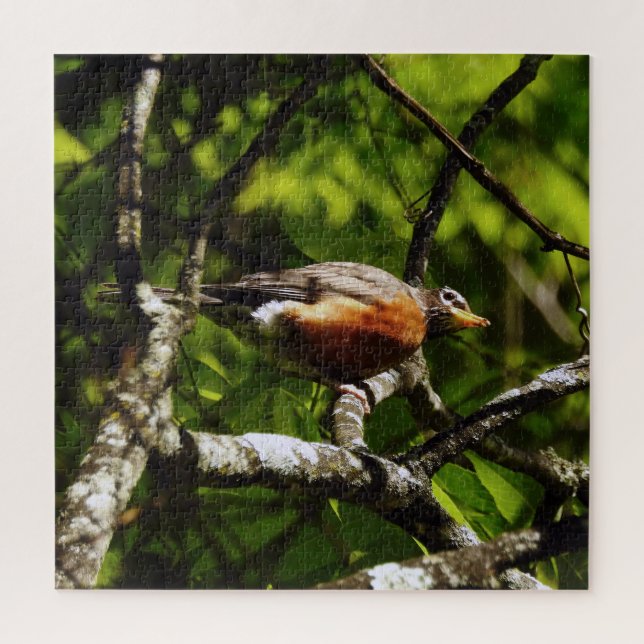 Curious Robin Jigsaw Puzzle (Vertical)