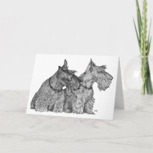Curious Scottish Terriers Pen & Ink Sketch Card