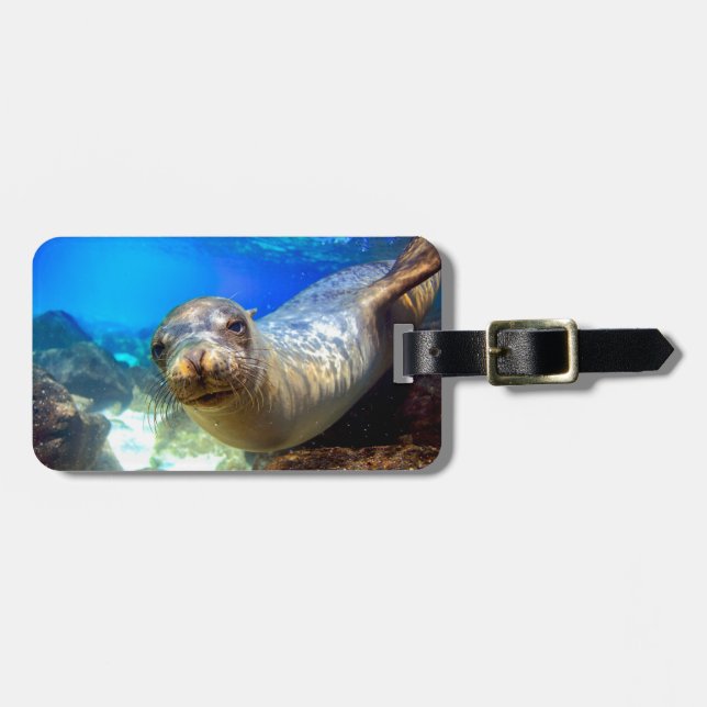Curious sea lion underwater Galapagos paradise Luggage Tag (Front Horizontal)