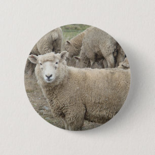 Curious Sheep 6 Cm Round Badge