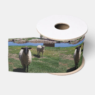 Curious Sheep Grosgrain Ribbon